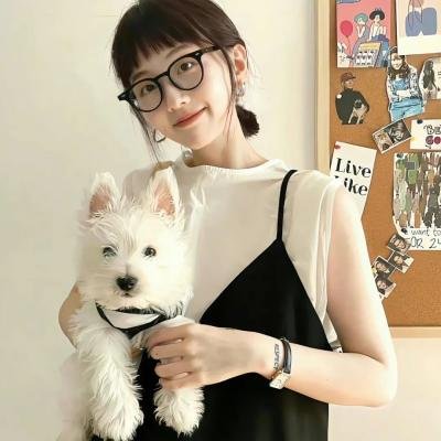 继承者风云