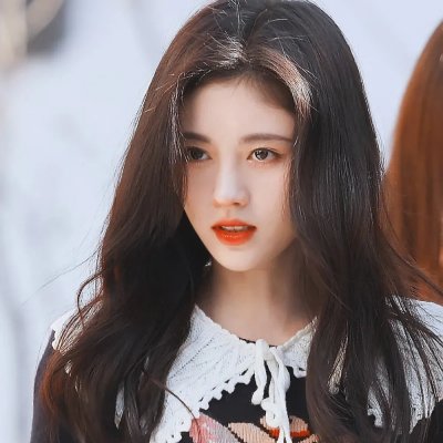 狗狗监护权